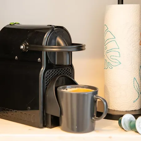 Zentrale Fusslaeufig Zu Weser Und Innenstadt * Bremen